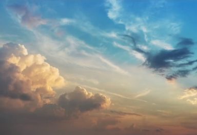 Look - Website Content